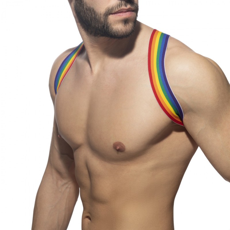 Addicted Rainbow Spider Harness white