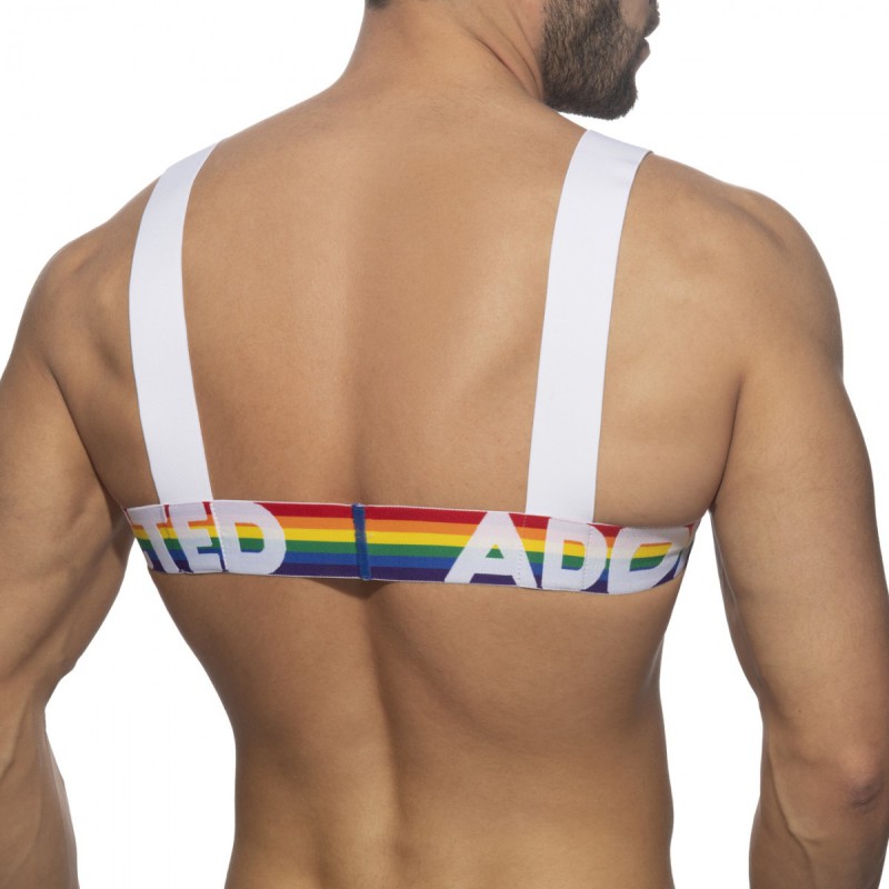Addicted Rainbow Harness white