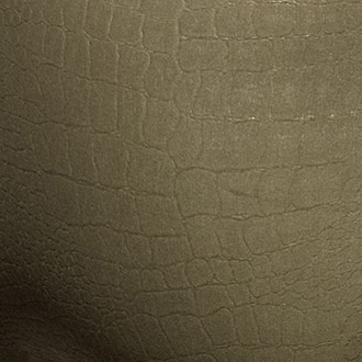 copy of Addicted Reptile Bikini Brief Black