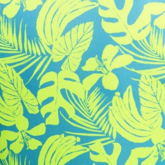 Addicted Calatheas Tank Top