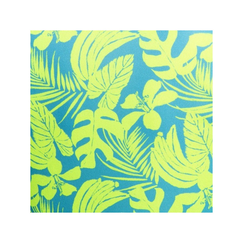 Addicted Calatheas Tank Top