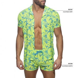 Addicted Calatheas Shorts