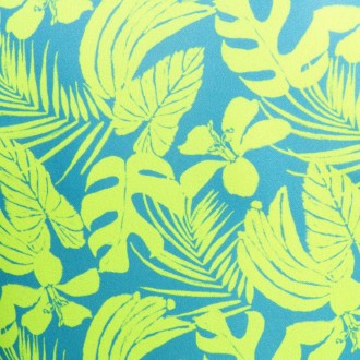 Addicted Calatheas Shorts