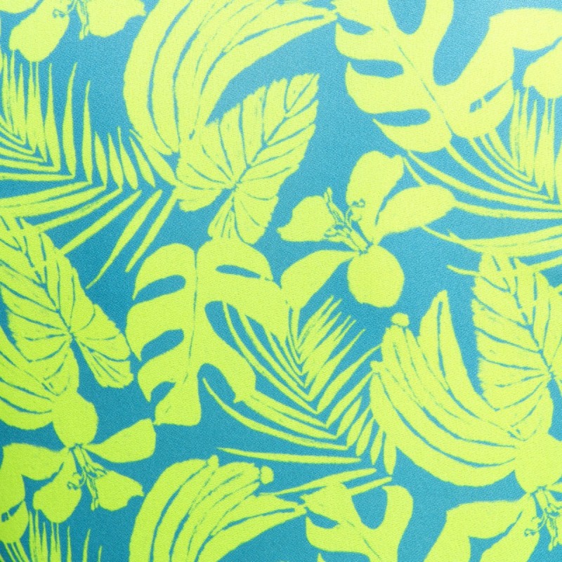 Addicted Calatheas Shorts