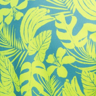 Addicted Calatheas shirt