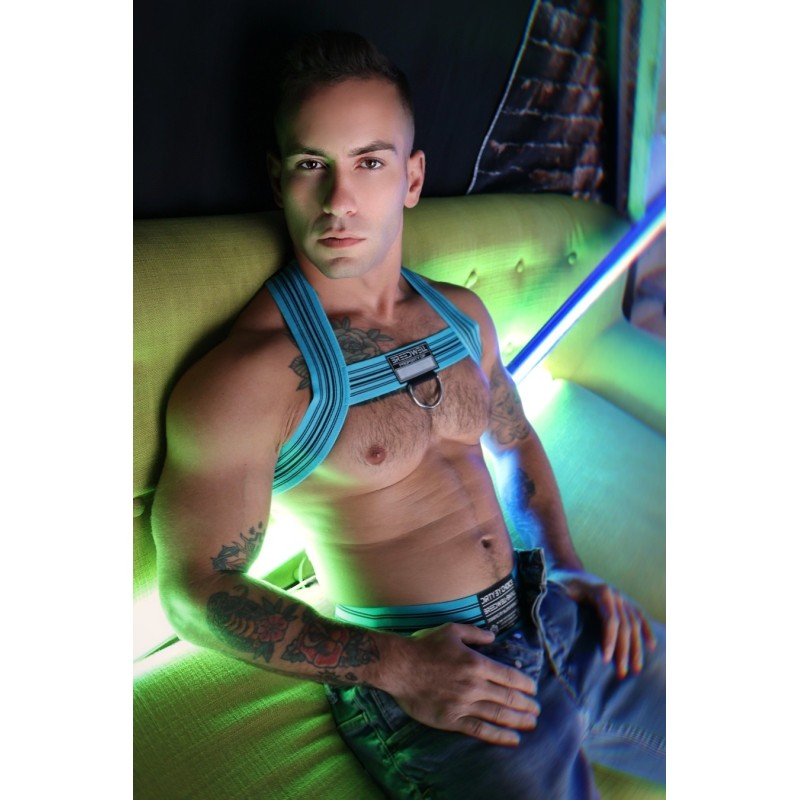 BREEDWELL Cumdump Bulldog Harness Aqua Blue