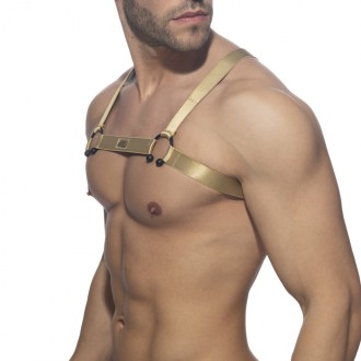 Addicted Bull Ring Harness gold