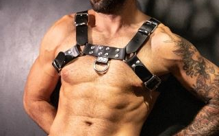 Harnesses